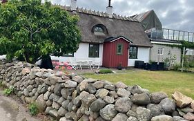 Korsvirkeslänga